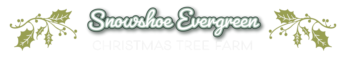 U-Cut and U-Choose Christmas Tree Farm | Snowshoe Evergreen